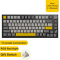 75% Gasket Mounted Mechanical Keyboard with TFT Smart Display | Tri-Mode Wireless (Bluetooth/2.4G/USB-C) | Hot-Swappable Custom Linear Switches & 4000mAh Battery